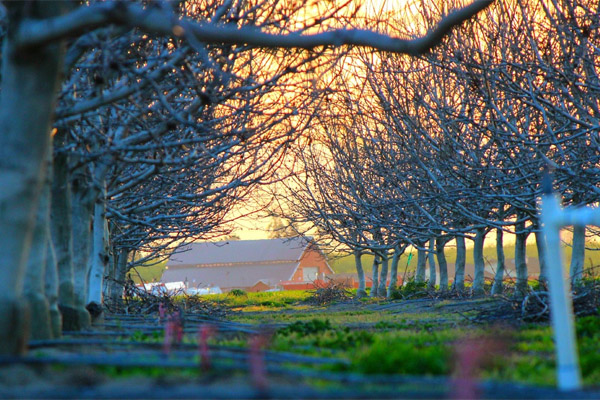 短信轰炸免费在线网站