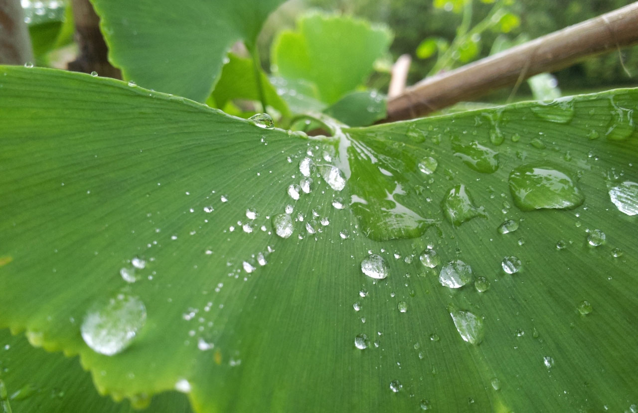 短信网页在线轰炸源码